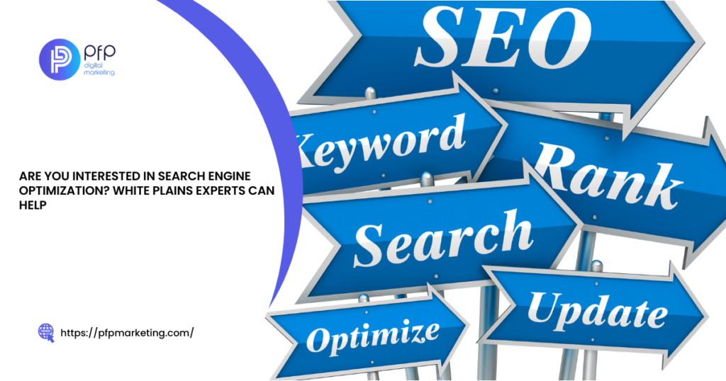 Are you Interested in Search Engine Optimization White Plains Experts Can Help